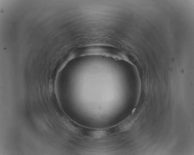 X0000076260085200610051256
