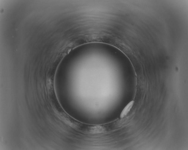 X0000076260087200610051256