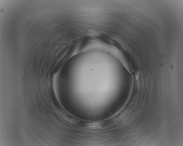 X0000076260088200610051256