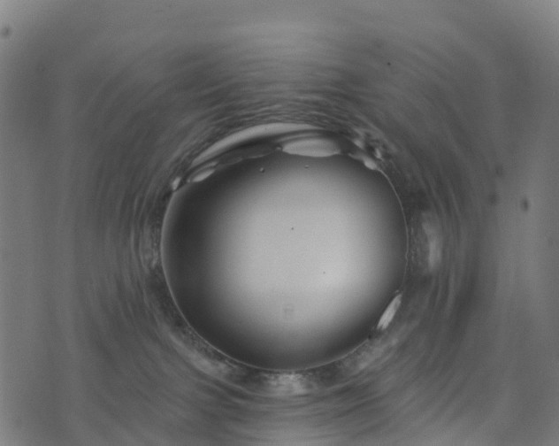 X0000076260091200610051256
