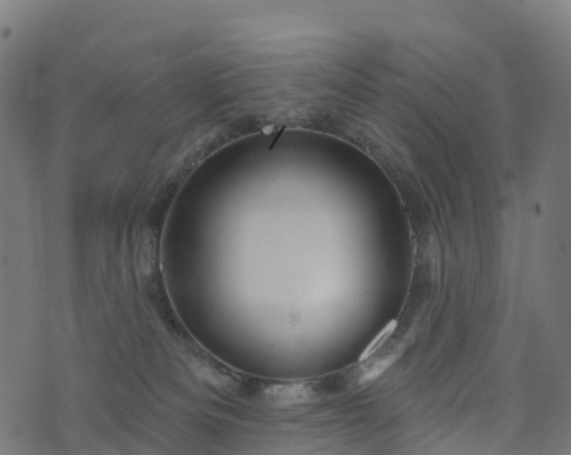 X0000076260133200610051255