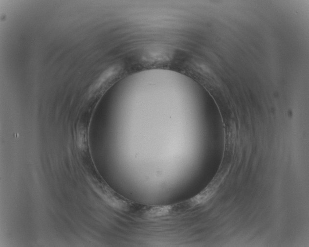 X0000076260138200610051255