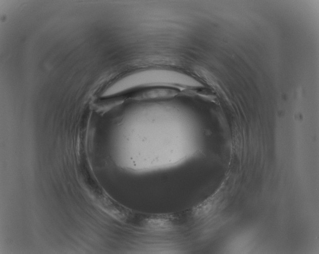 X0000076260167200610051254