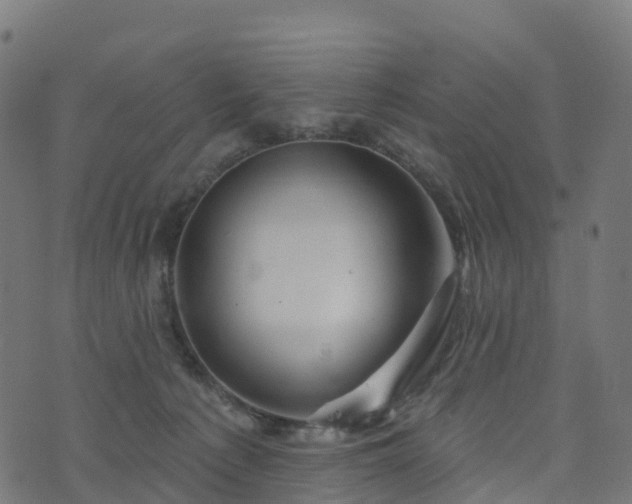 X0000076260225200610051253