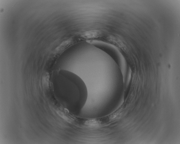 X0000076260231200610051253