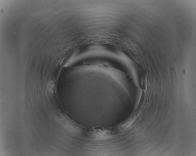 X0000076260235200610051253