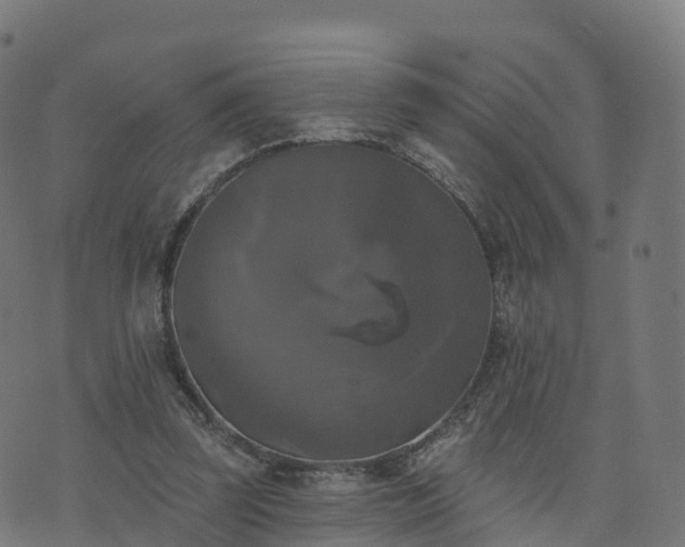 X0000076260347200610051251