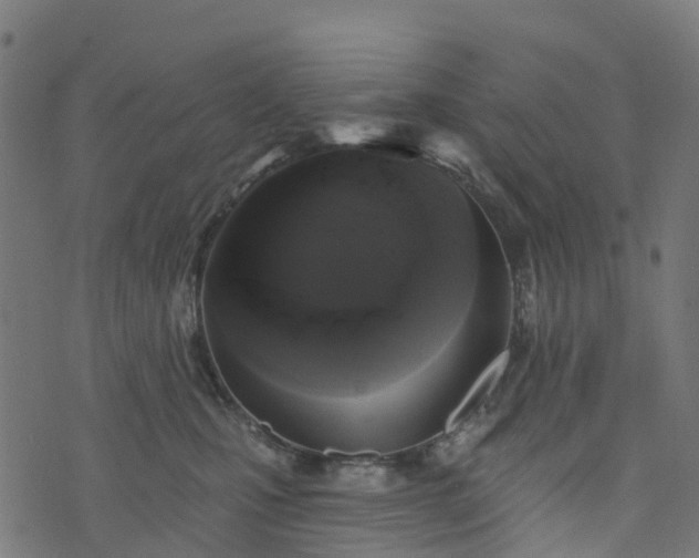 X0000076260471200610051250