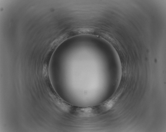 X0000076260478200610051250