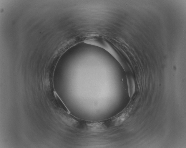 X0000076260516200610051249