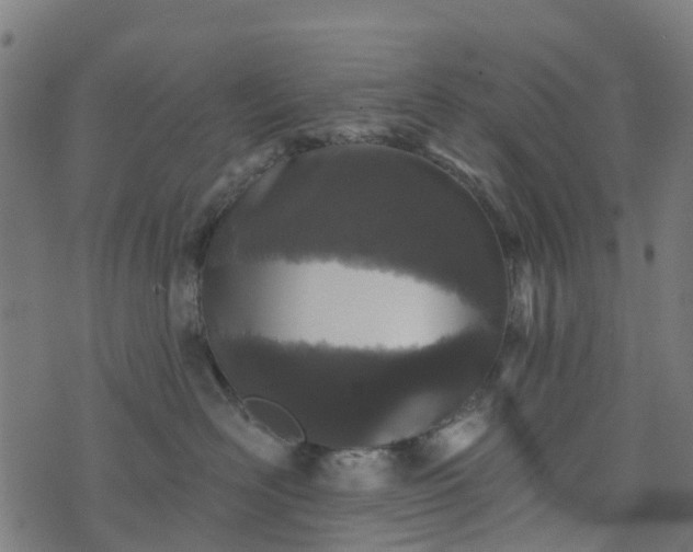 X0000076260526200610051249