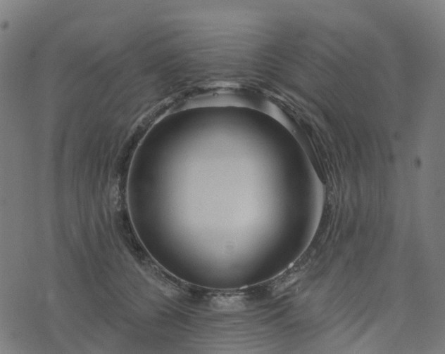 X0000076260560200610051248