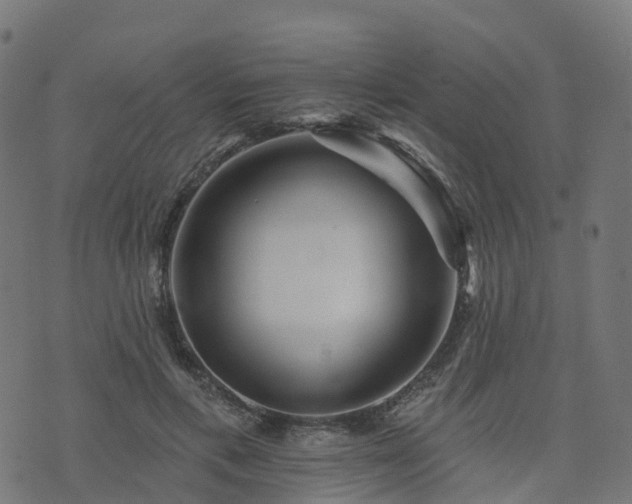 X0000076260597200610051247