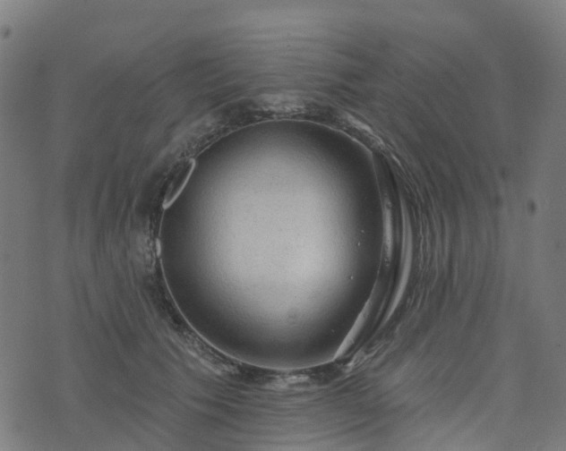 X0000076260609200610051247