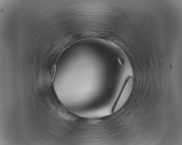 X0000076260617200610051247