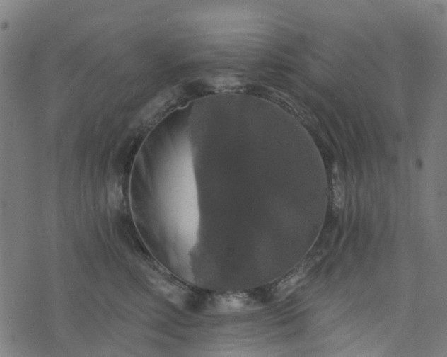 X0000076260618200610051247