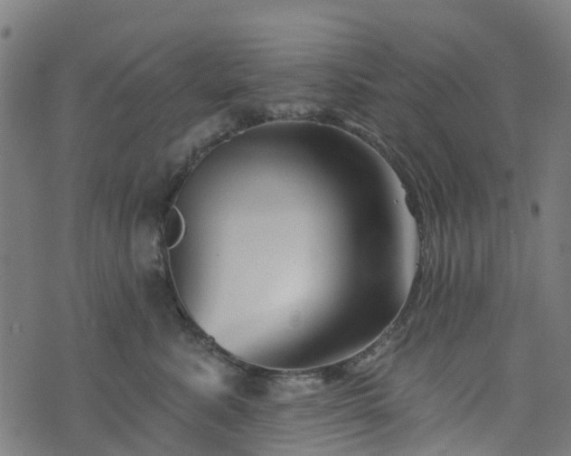 X0000076260619200610051247
