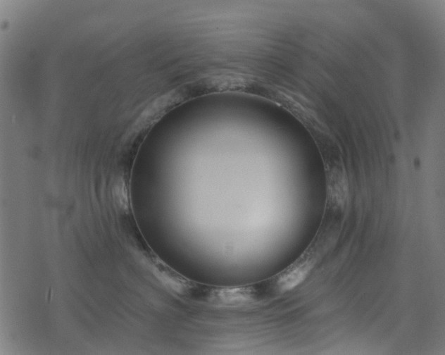 X0000076260622200610051247
