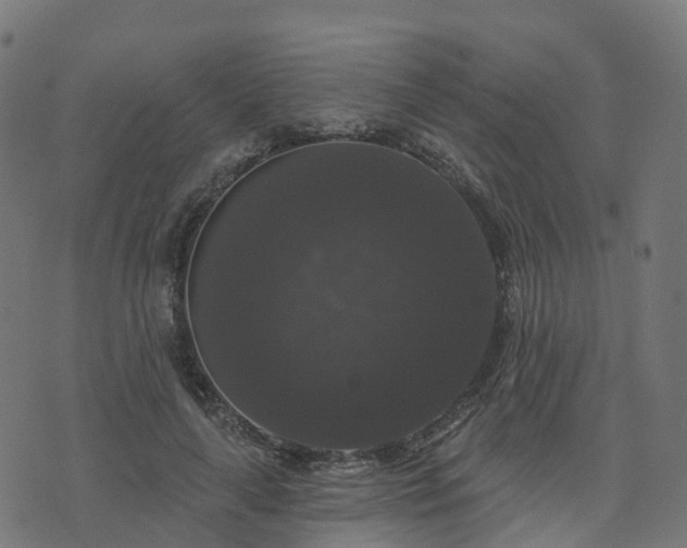 X0000076260643200610051246