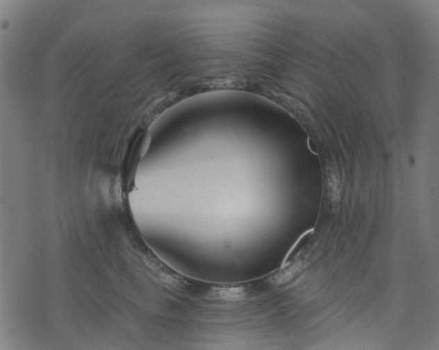 X0000076260665200610051247