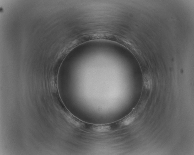 X0000076260670200610051247