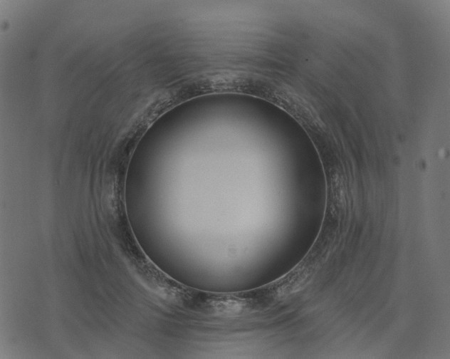 X0000076260698200610051246