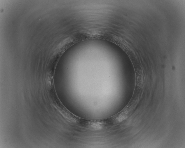 X0000076260710200610051246