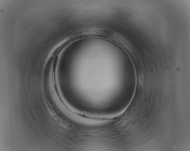 X0000076260724200610051245