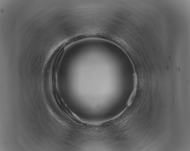 X0000076260728200610051245