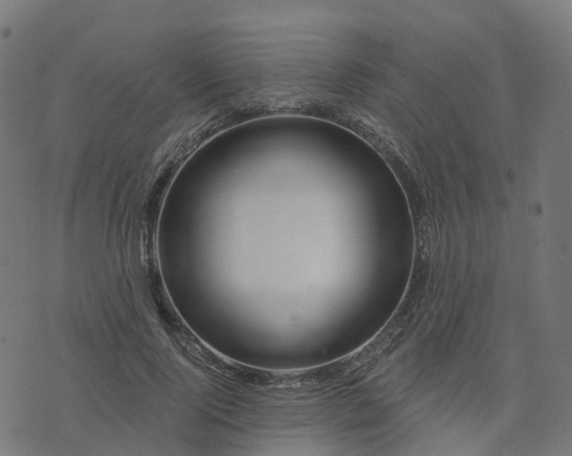 X0000076260740200610051245