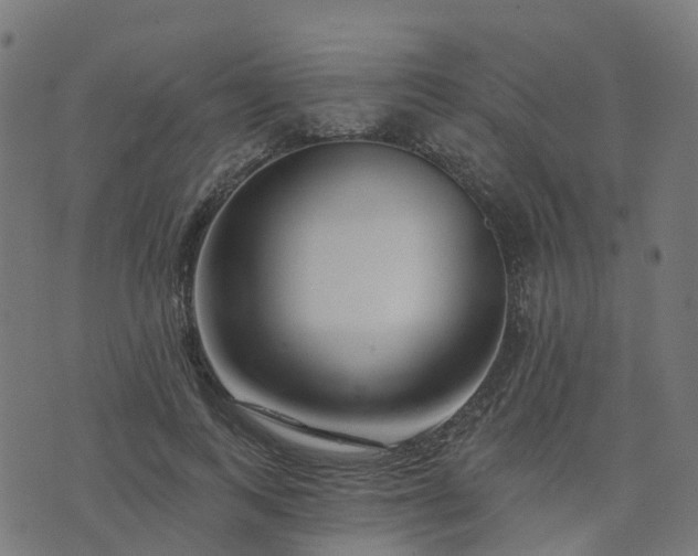 X0000076260743200610051245