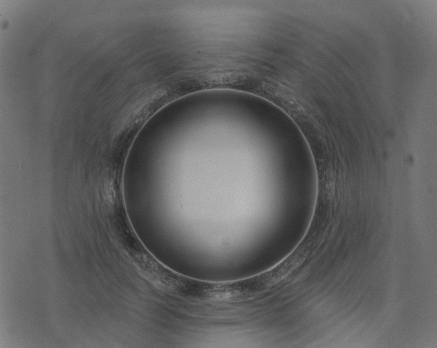 X0000076260746200610051245