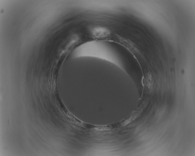 X0000076260763200610051245
