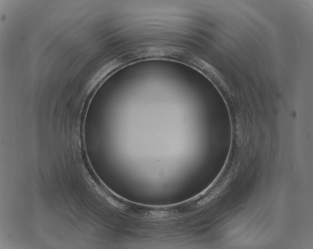 X0000076260794200610051244