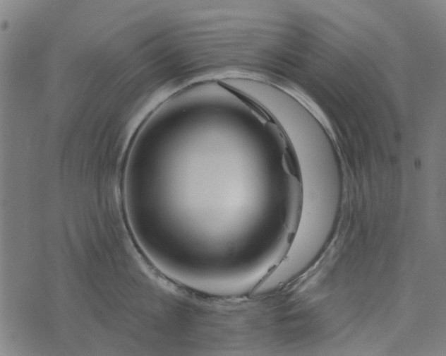 X0000076260813200610051244
