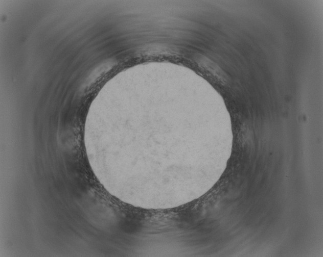X0000076260824200610051243