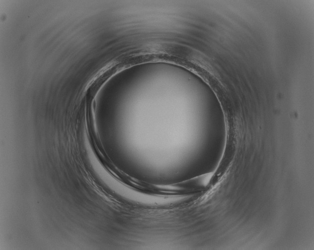 X0000076260826200610051243
