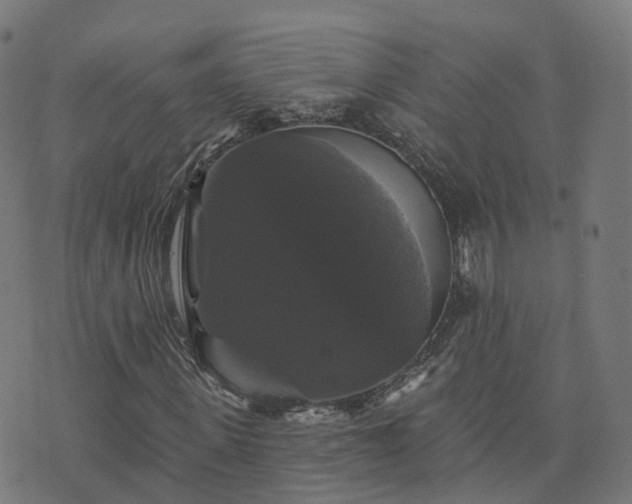 X0000076260915200610051242