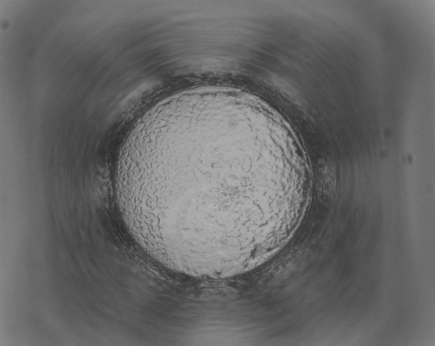 X0000076260918200610051242