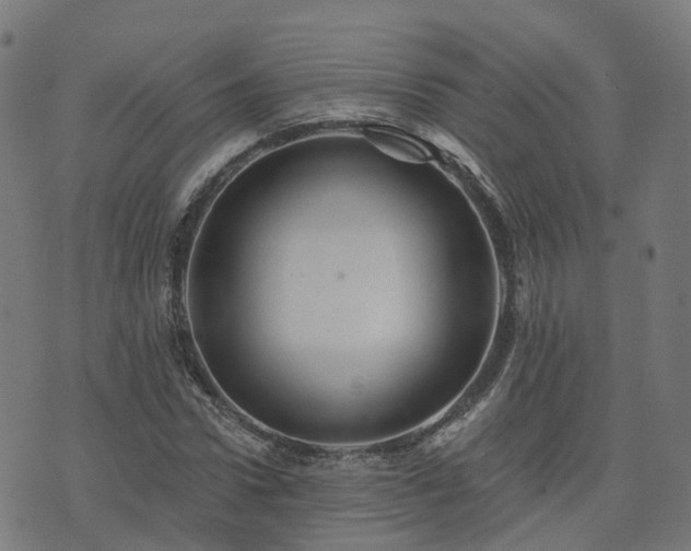X0000076260922200610051242