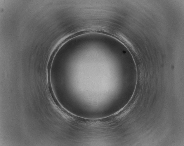 X0000076260940200610051242