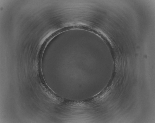 X0000076260975200610051241