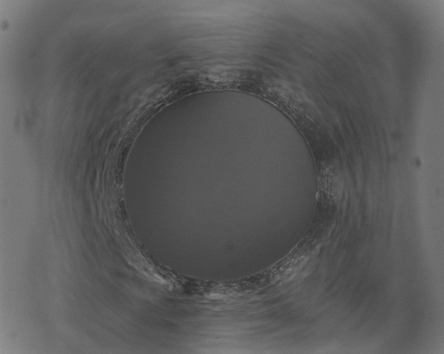 X0000076261009200610051240