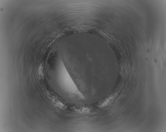 X0000076261010200610051240