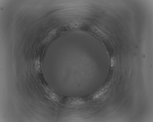 X0000076261011200610051240
