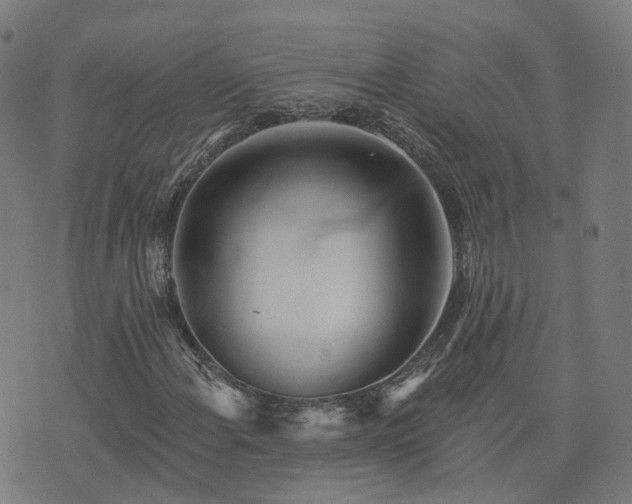 X0000076261108200610051238