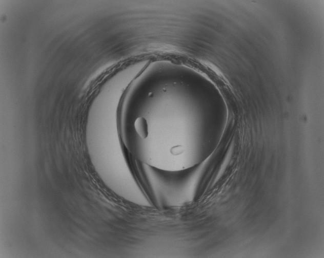 X0000076261112200610051238