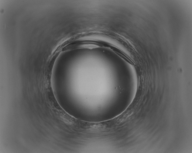 X0000076261160200610051238