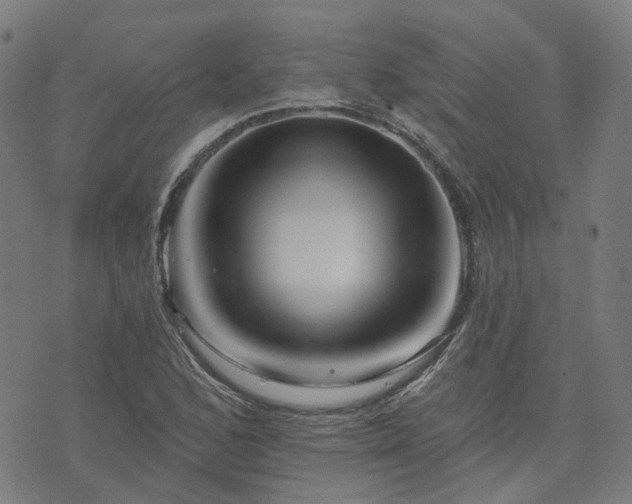 X0000076261168200610051238