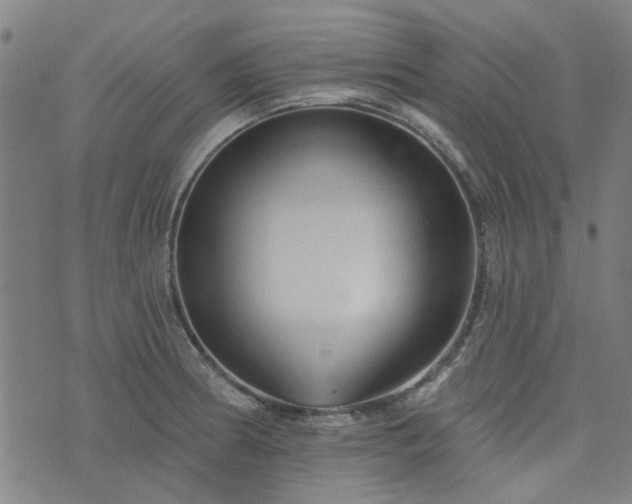 X0000076261186200610051238